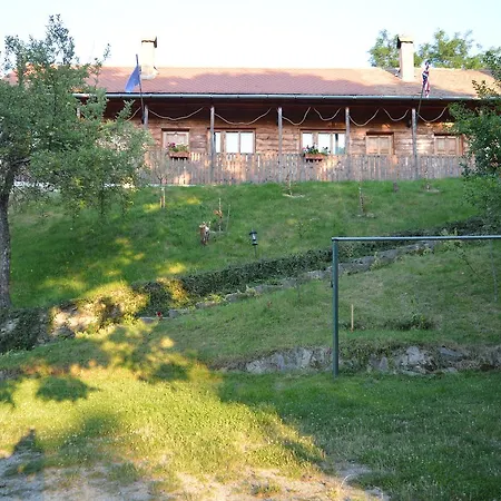 Pensiunea Morariu Pensión Sălişte